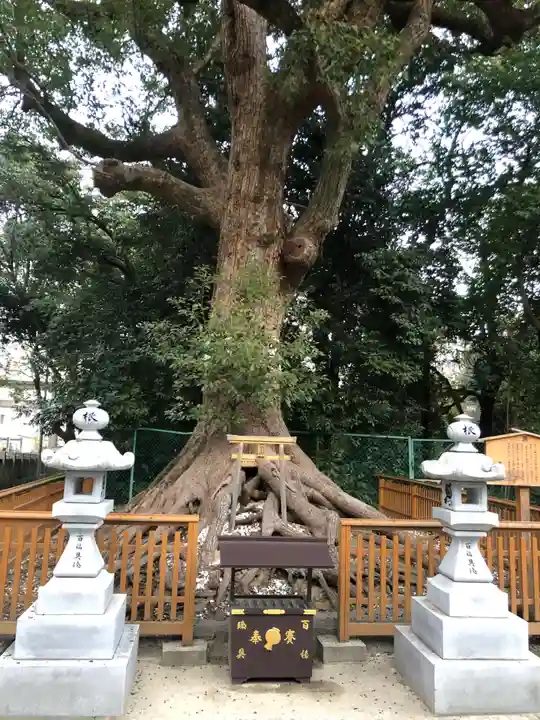 和泉國一之宮 大鳥大社(大阪府)