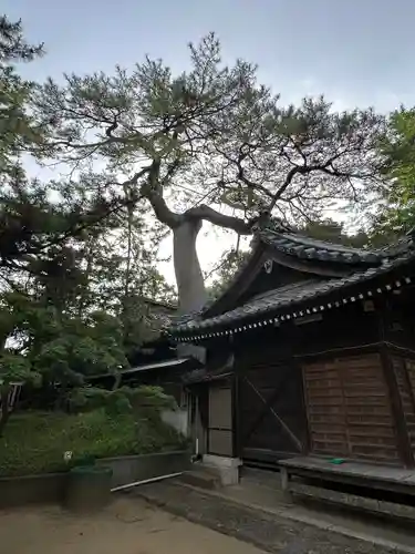 葛飾神社(千葉県)