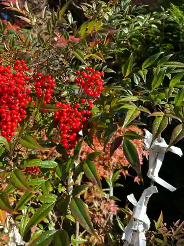 山科聖天 雙林院（双林院）　(京都府)