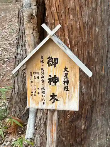 大星神社(長野県)