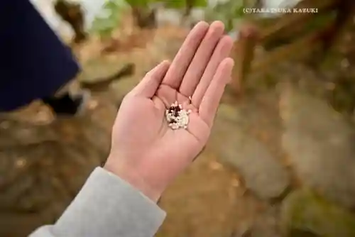 九頭龍神社本宮(神奈川県)
