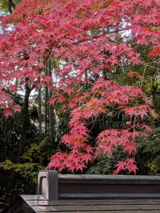 大正寺(東京都)