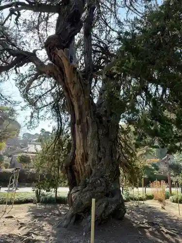 建長寺(神奈川県)