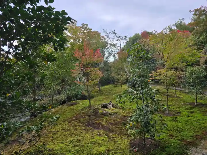 霊鑑寺門跡(京都府)