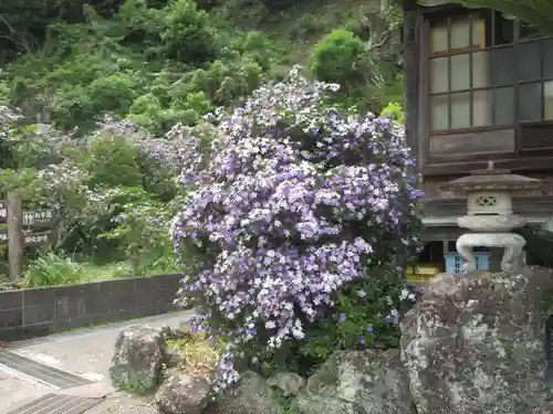 了仙寺(静岡県)