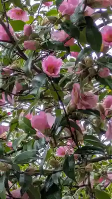 石山寺(滋賀県)