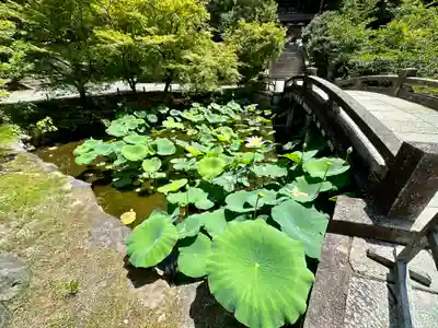 知恩院(京都府)