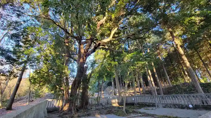 山宮浅間神社(静岡県)