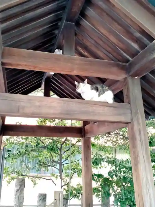 蔵前神社(東京都)