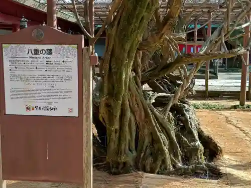 笠間稲荷神社の{uncategorized: "未分類", other: "その他", undefined: "問題あり", building: "その他建物", grave: "お墓", sacred_gate: "鳥居", guardian: "狛犬", statue: "像", buddha: "仏像", history: "歴史", nature: "自然", garden: "庭園", animal: "動物", pagoda: "塔", temizu: "手水舎", mountain_gate: "山門・神門", sanctuary: "本殿・本堂", subordinate: "末社・摂社", art: "芸術", scenery: "景色", jizo: "地蔵", ema: "絵馬", goshuin: "御朱印", omikuji: "おみくじ", items: "授与品その他", amulet: "お守り", goshuincho: "御朱印帳", eats: "食事", festival: "お祭り", votive_dance: "神楽", shichigosan: "七五三参", wedding: "結婚式", experience: "体験その他", initially: "初詣", around: "周辺", anti_infection: "感染症対策"}