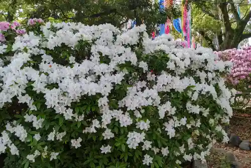 長良八劔社の{uncategorized: "未分類", other: "その他", undefined: "問題あり", building: "その他建物", grave: "お墓", sacred_gate: "鳥居", guardian: "狛犬", statue: "像", buddha: "仏像", history: "歴史", nature: "自然", garden: "庭園", animal: "動物", pagoda: "塔", temizu: "手水舎", mountain_gate: "山門・神門", sanctuary: "本殿・本堂", subordinate: "末社・摂社", art: "芸術", scenery: "景色", jizo: "地蔵", ema: "絵馬", goshuin: "御朱印", omikuji: "おみくじ", items: "授与品その他", amulet: "お守り", goshuincho: "御朱印帳", eats: "食事", festival: "お祭り", votive_dance: "神楽", shichigosan: "七五三参", wedding: "結婚式", experience: "体験その他", initially: "初詣", around: "周辺", anti_infection: "感染症対策"}