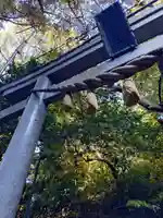 児玉神社(神奈川県)