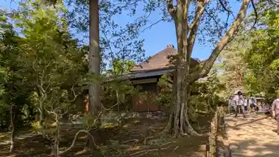 歌泉堂（春日大社神苑萬葉植物園内鎮座）(奈良県)