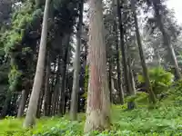 大宮温泉神社(栃木県)