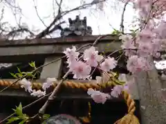 雨宝院(京都府)