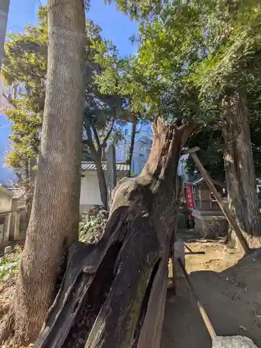 中野氷川神社(東京都)