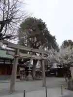 赤留比売命神社(杭全神社飛地境内社)の鳥居