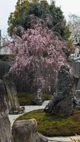 本法寺(京都府)