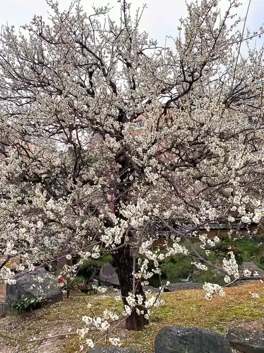 湯島天満宮の庭園
