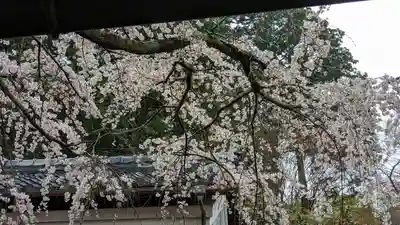 十輪寺(京都府)