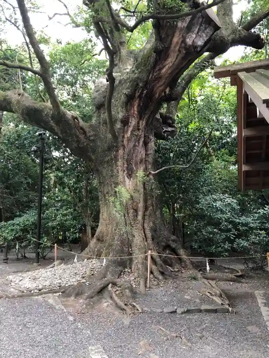 月夜見宮(豊受大神宮別宮)の自然