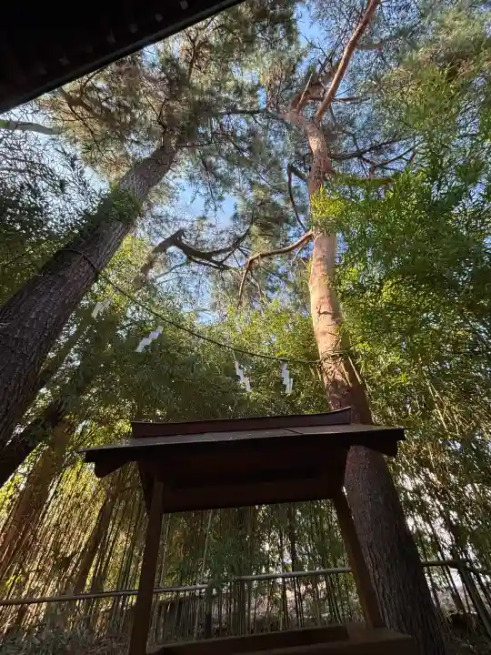自由が丘熊野神社の{uncategorized: "未分類", other: "その他", undefined: "問題あり", building: "その他建物", grave: "お墓", sacred_gate: "鳥居", guardian: "狛犬", statue: "像", buddha: "仏像", history: "歴史", nature: "自然", garden: "庭園", animal: "動物", pagoda: "塔", temizu: "手水舎", mountain_gate: "山門・神門", sanctuary: "本殿・本堂", subordinate: "末社・摂社", art: "芸術", scenery: "景色", jizo: "地蔵", ema: "絵馬", goshuin: "御朱印", omikuji: "おみくじ", items: "授与品その他", amulet: "お守り", goshuincho: "御朱印帳", eats: "食事", festival: "お祭り", votive_dance: "神楽", shichigosan: "七五三参", wedding: "結婚式", experience: "体験その他", initially: "初詣", around: "周辺", anti_infection: "感染症対策"}