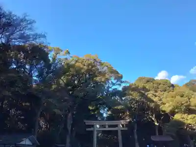 明治神宮(東京都)