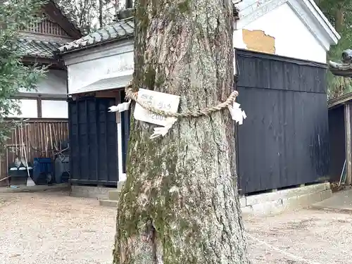 植木神社(三重県)