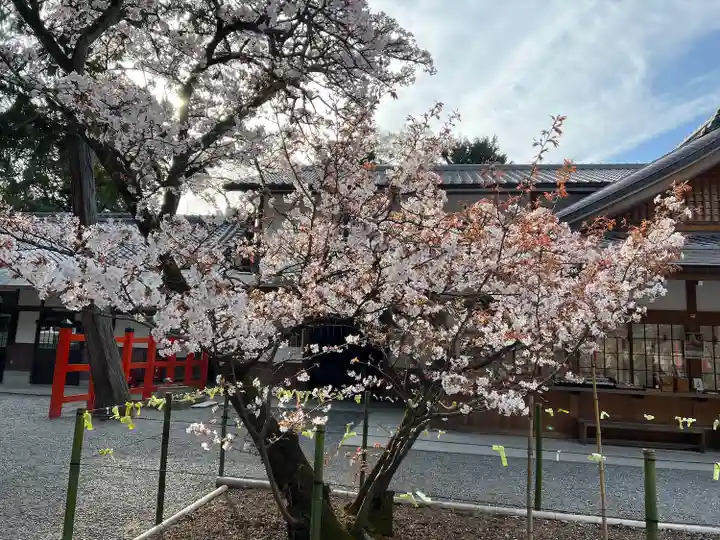 吉田神社(京都府)
