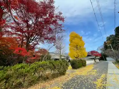 本誓寺(東本誓寺)(滋賀県)