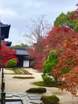 天授庵(京都府)