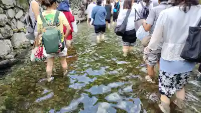 賀茂御祖神社（下鴨神社）のお祭り