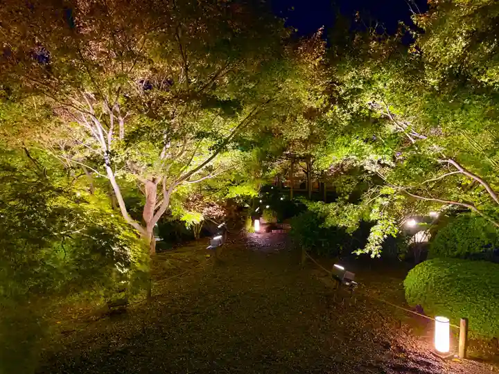 東寺(教王護国寺)(京都府)