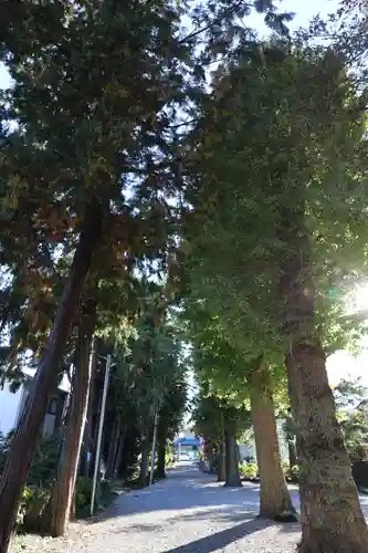 吉祥寺(埼玉県)