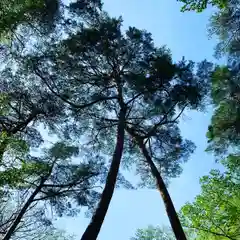 滑川神社 - 仕事と子どもの守り神の周辺