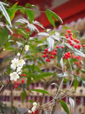 荏柄天神社(神奈川県)