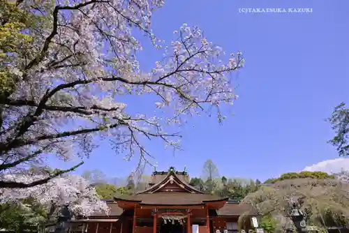 富士山本宮浅間大社(静岡県)