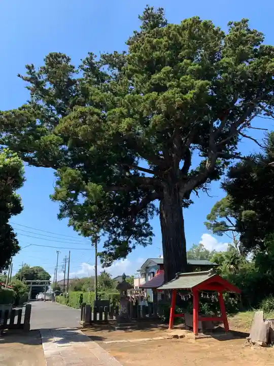 松澤 熊野神社(千葉県)