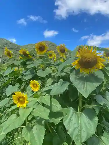 天神社(岡山県)
