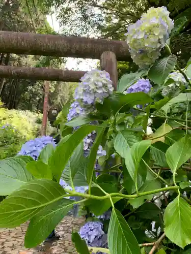 太平山神社の自然
