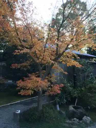 高台寺（高台寿聖禅寺・高臺寺）(京都府)