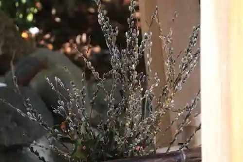 高司神社〜むすびの神の鎮まる社〜の手水舎