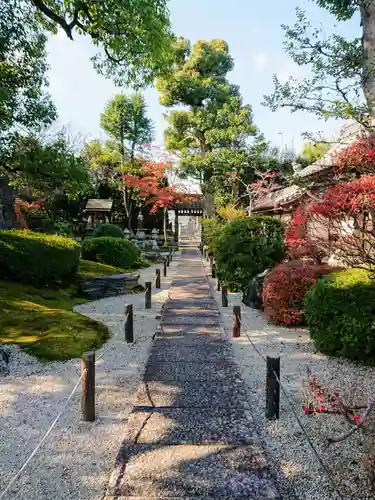 崇福寺の庭園