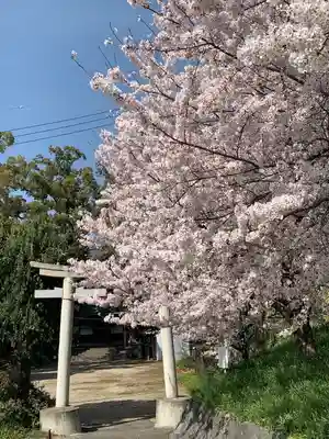 春日神社の鳥居