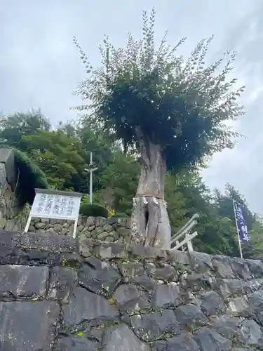 夫婦木神社の自然