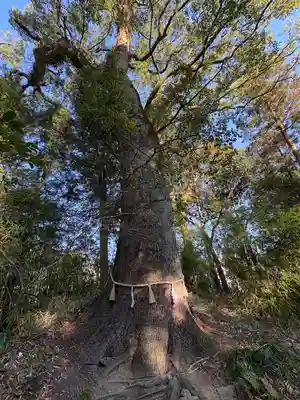 土佐神社(高知県)