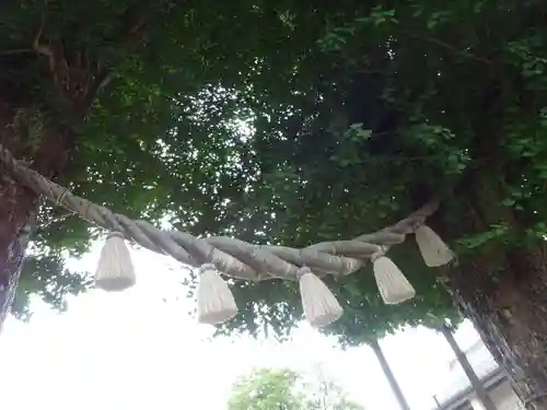 亀ケ池八幡宮のその他建物