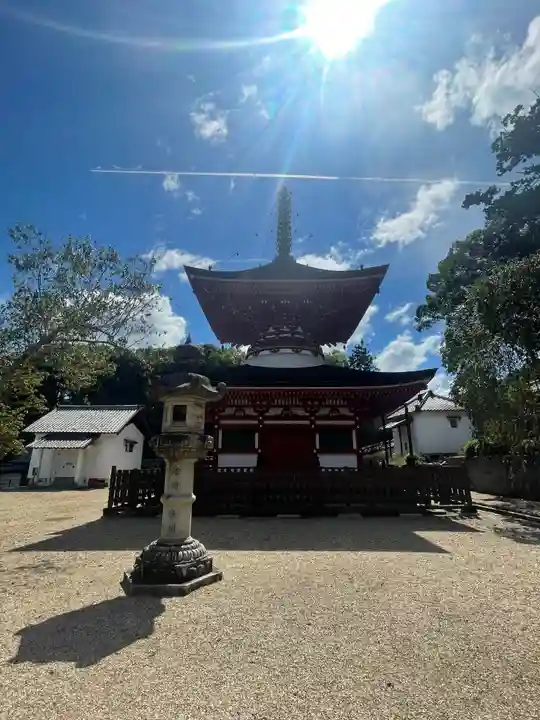 金剛寺(大阪府)