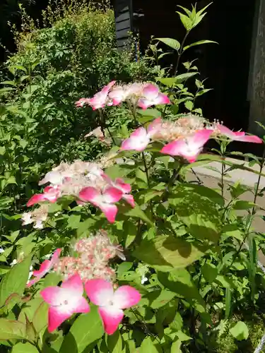 宝積山光前寺の自然
