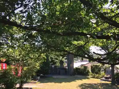 橋寺 放生院のその他建物